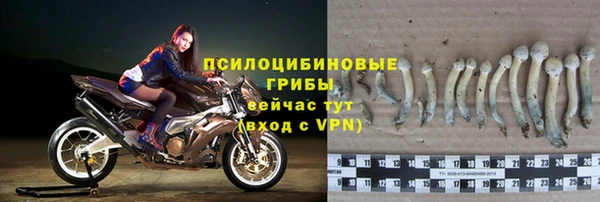 a pvp Магас