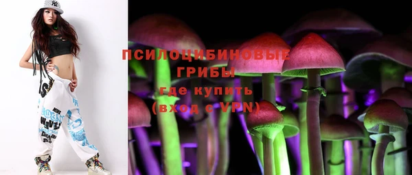 a pvp Магас